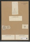 Coscinodiscus radiatus var. minor A. Schum. (de-Toni-Nr.: Genus 202, Species 4972) Zeichnungen Sammlung Grunow Nr. 8588 (NHMW-BOT-W0378240)